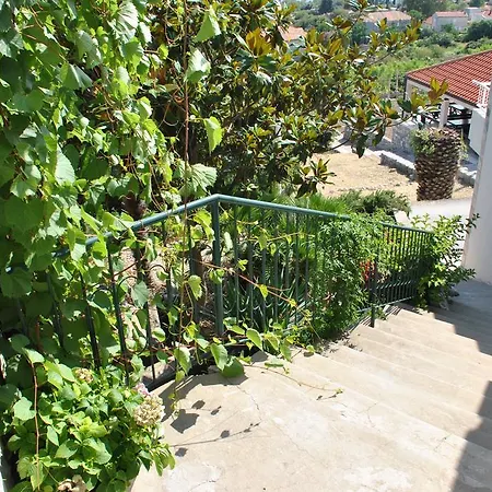 Splendid View House 빌라 오라사크