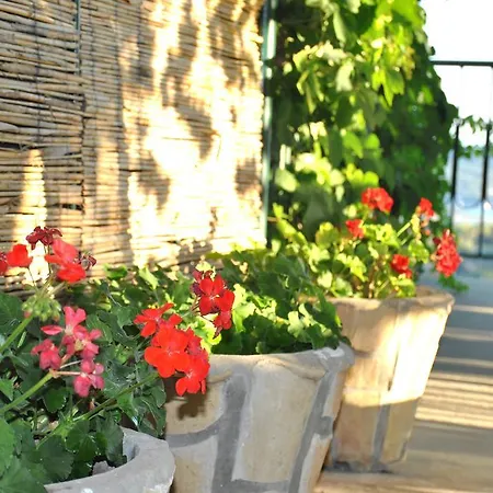 Splendid View House 빌라 오라사크