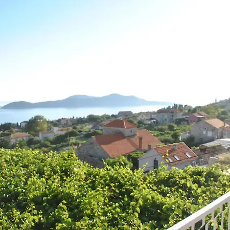 Splendid View House