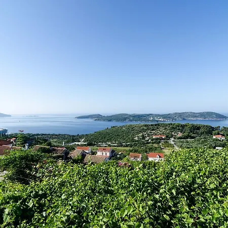 Splendid View House *