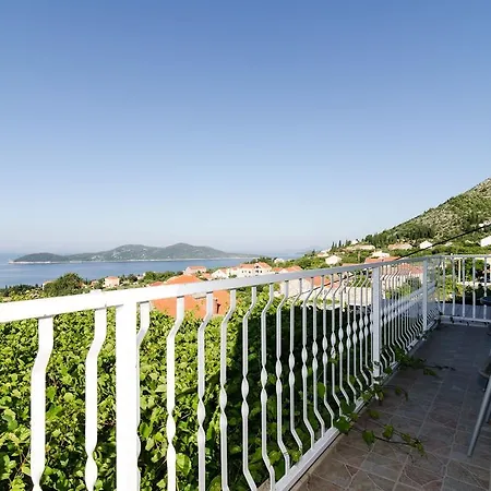 Splendid View House Villa Orašac