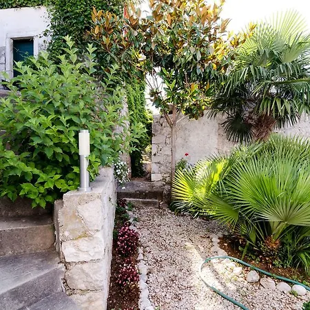 Villa Splendid View House *