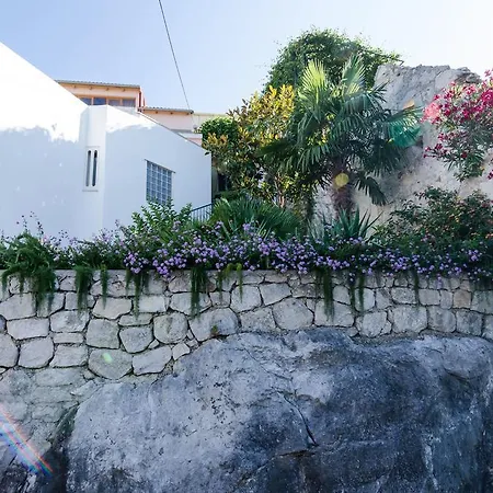Villa Splendid View House Orašac