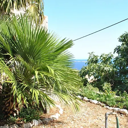 Splendid View House Orašac